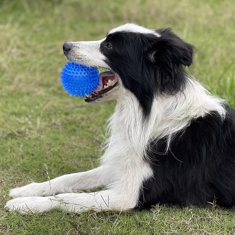 TPR Squeaky Spiked Dog Ball Ch - Spike Ball Game のレビューと価格