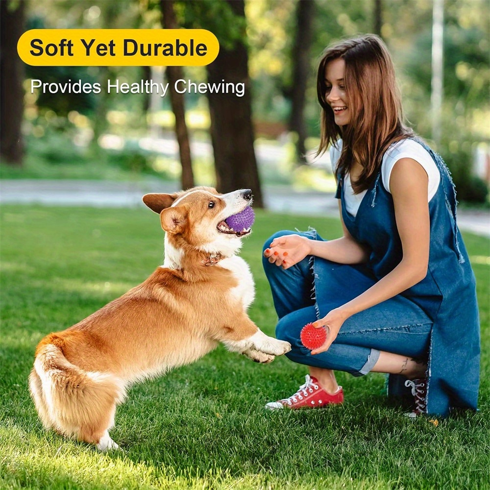 6pcs Dog Toy Balls, Non-Toxic, - Spike Ball Game のレビューと価格