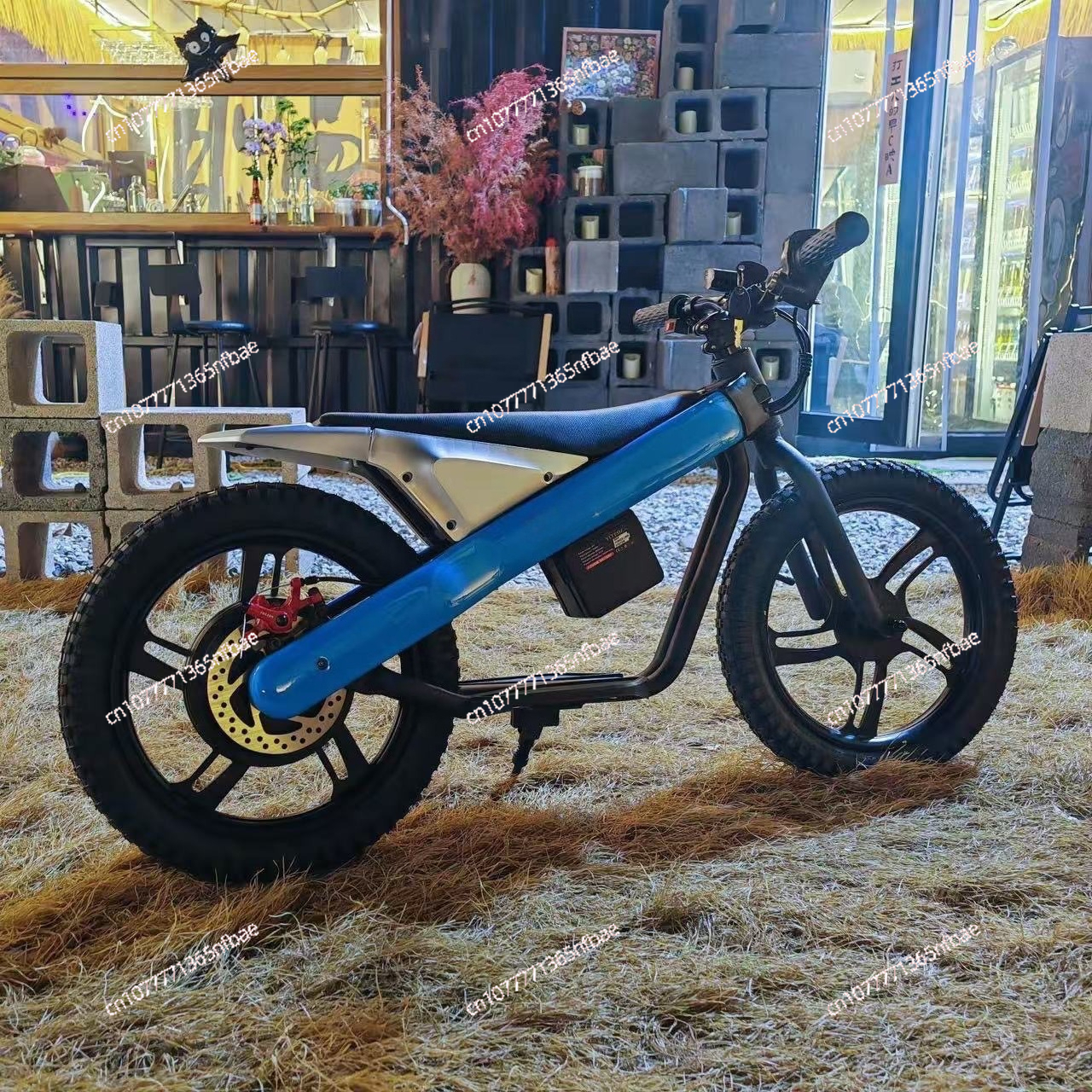 16 Inch Kids Electric Balance  - Balance Bike Kids のレビューと価格