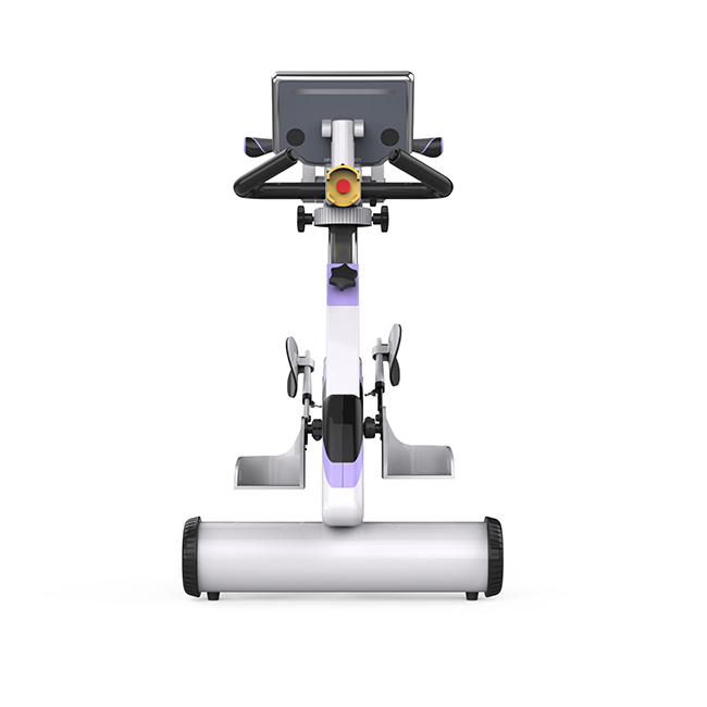 Bike Exercise Rehabilitation E - Sports Equipment Manufacturers のレビューと価格